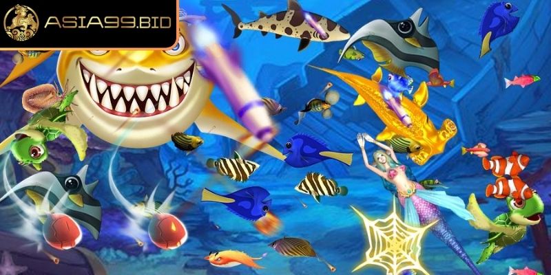 Hiểu rõ cơ chế của cá