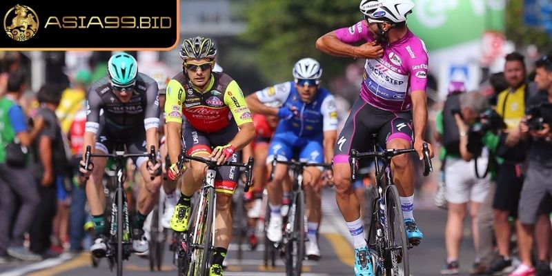 Tổng quan về cá cược đua xe đạp ASIA99
