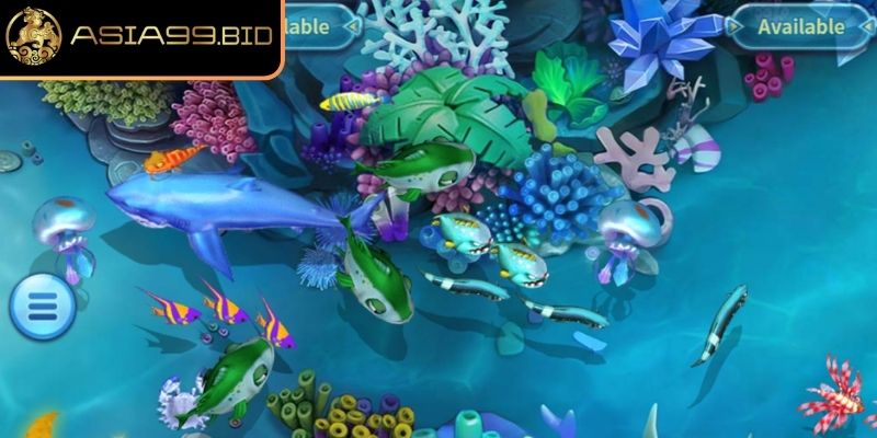 Phân bổ tiền xu phù hợp